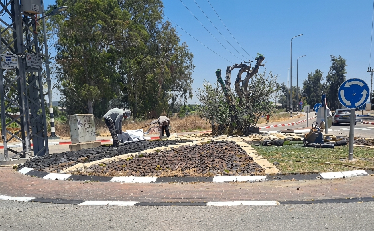 תמונת כתבה