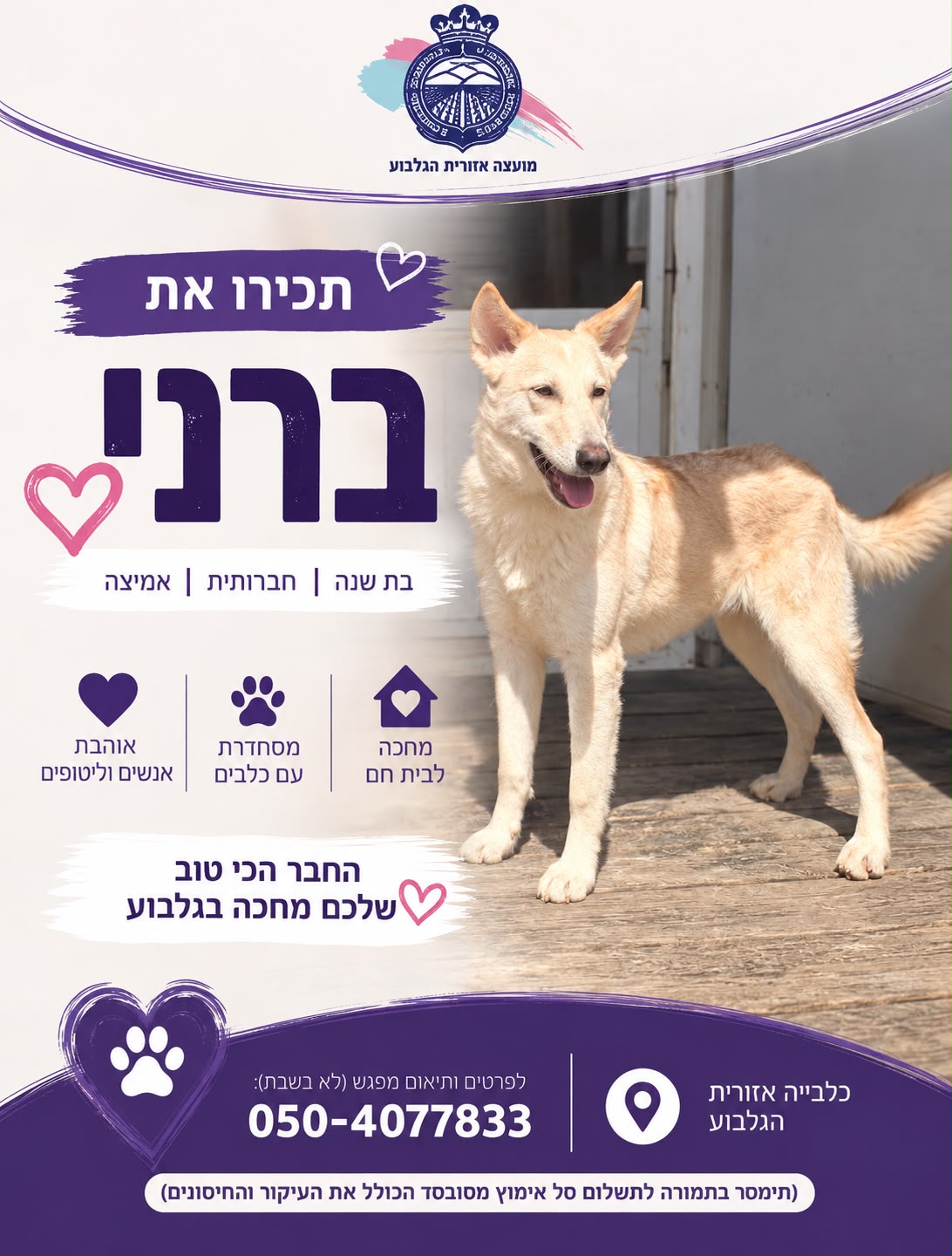 אמצו חבר לחיים תכירו את ברני