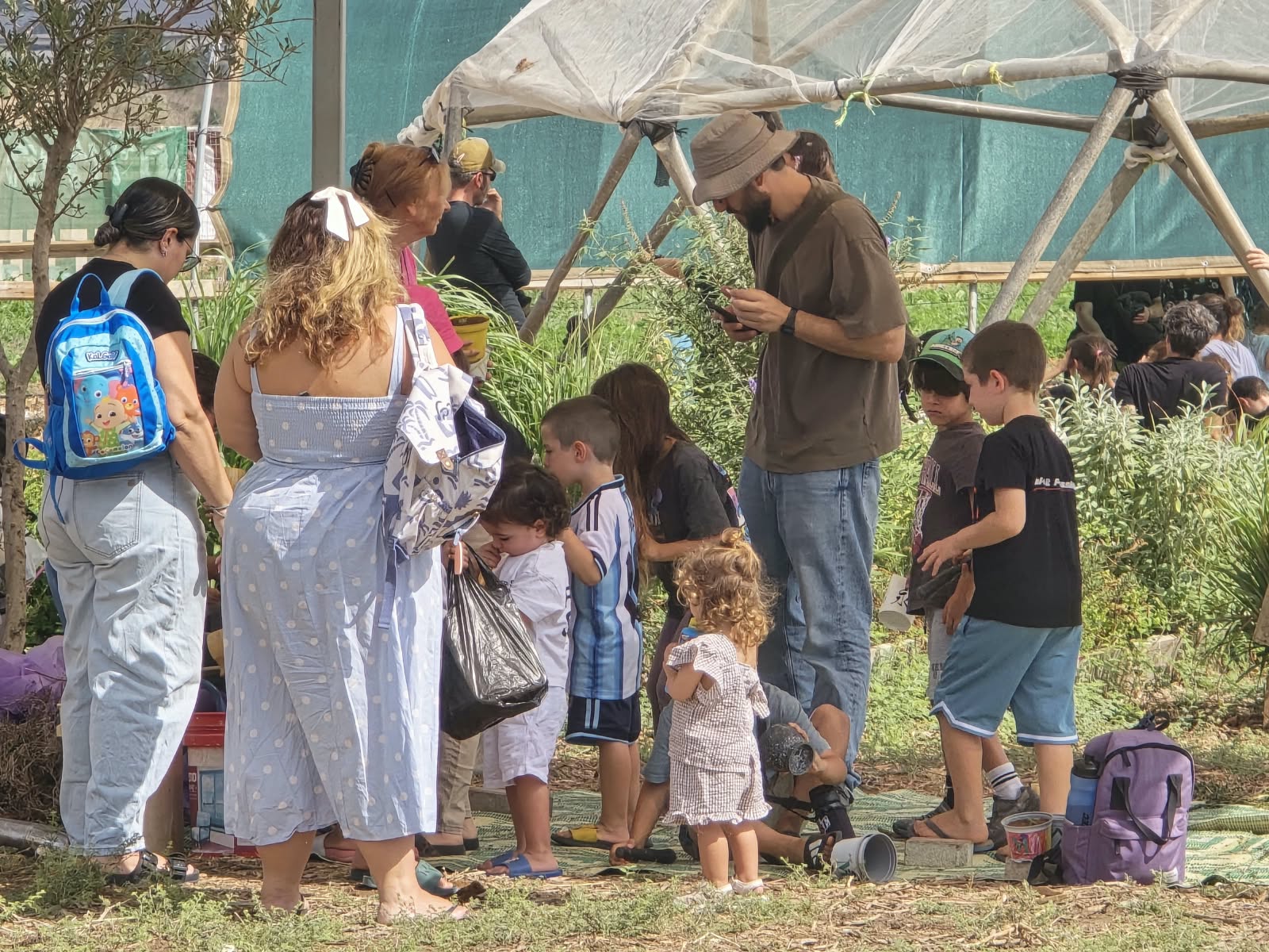 תמונת כתבה