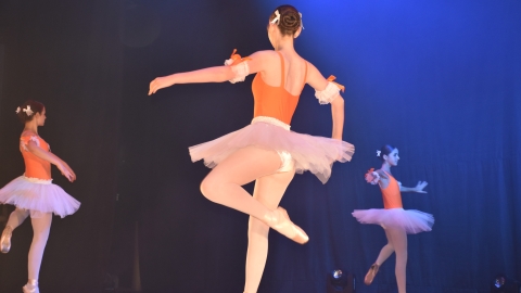 DSC_0087.JPG